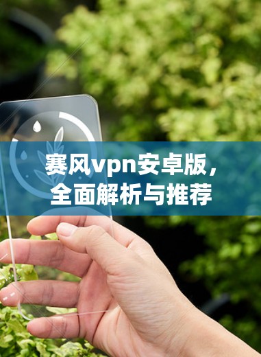 赛风vpn安卓版，全面解析与推荐