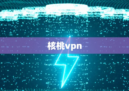 核桃vpn 核桃vpn