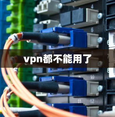 vpn都不能用了