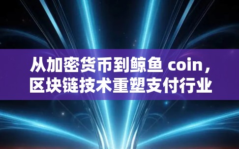 从加密货币到鲸鱼 coin，区块链技术重塑支付行业的未来