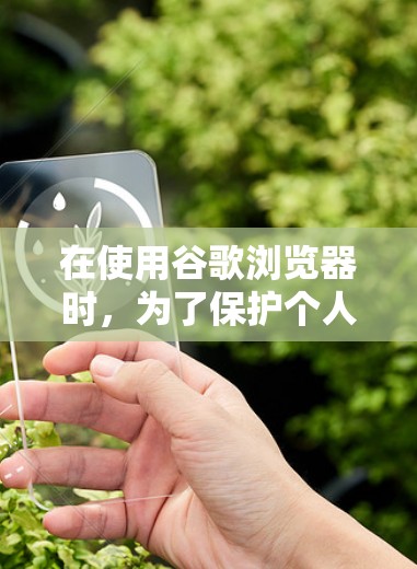 在使用谷歌浏览器时，为了保护个人信息，可以考虑使用谷歌浏览器VPN插件。以下是对该问题的详细解答