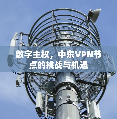 数字主权,中东VPN节点的挑战与机遇 数字主权,中东VPN节点的挑战与机遇