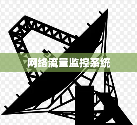 网络流量监控系统 网络流量监控系统