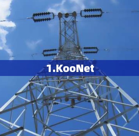 1.KooNet