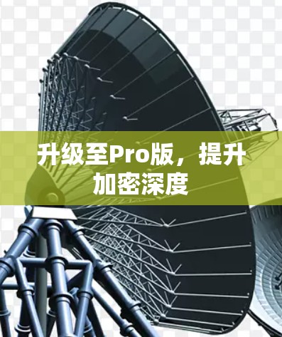 升级至Pro版,提升加密深度 升级至Pro版,提升加密深度