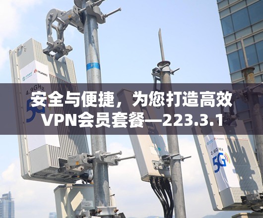 安全与便捷，为您打造高效VPN会员套餐—223.3.1