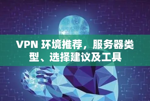 VPN 环境推荐，服务器类型、选择建议及工具