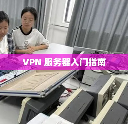 VPN 服务器入门指南 VPN 服务器入门指南