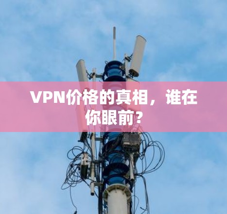 VPN价格的真相,谁在你眼前? VPN价格的真相,谁在你眼前?