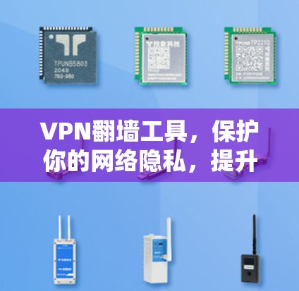 VPN翻墙工具,保护你的网络隐私,提升你的流量体验 VPN翻墙工具,保护你的网络隐私,提升你的流量体验