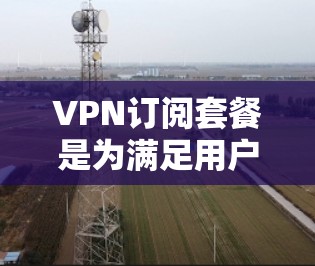 VPN订阅套餐是为满足用户特定需求而提供的网络服务，通常包括IP地址、流量、数据包等配置。以下是关于VPN订阅套餐的详细介绍