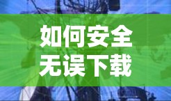 如何安全无误下载和使用VPN电脑软件 如何安全无误下载和使用VPN电脑软件