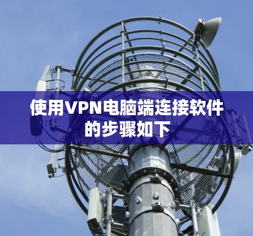 使用VPN电脑端连接软件的步骤如下