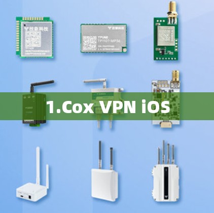 1.Cox VPN iOS 1.Cox VPN iOS