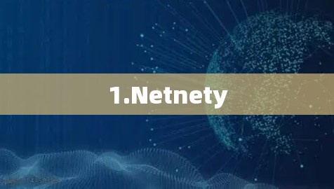 1.Netnety 1.Netnety