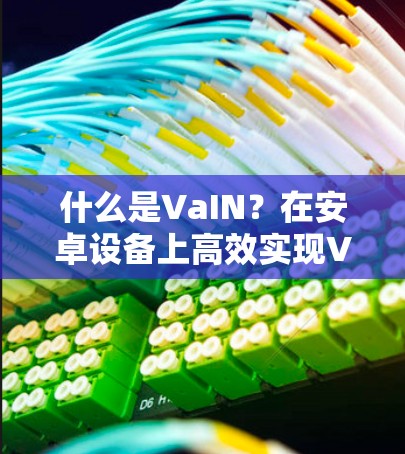 什么是VaIN？在安卓设备上高效实现VPN