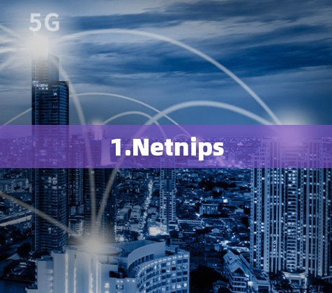 1.Netnips