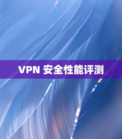 VPN 安全性能评测