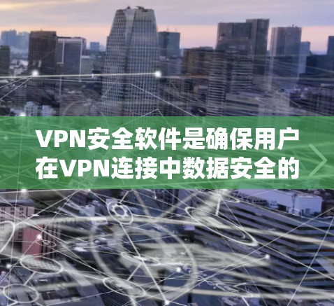 VPN安全软件是确保用户在VPN连接中数据安全的重要工具。以下是对VPN安全软件的详细分析和建议 VPN安全软件是确保用户在VPN连接中数据安全的重要工具。以下是对VPN安全软件的详细分析和建议