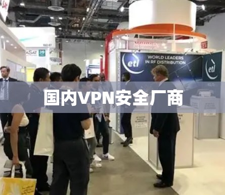 国内VPN安全厂商 国内VPN安全厂商