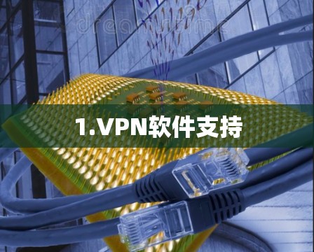 1.VPN软件支持 1.VPN软件支持
