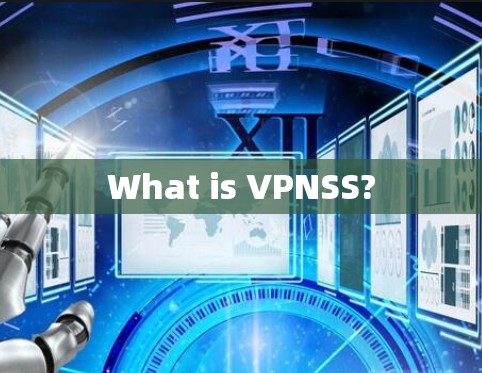What is VPNSS?