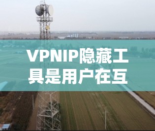 VPNIP隐藏工具是用户在互联网安全问题上采取的重要防护措施。这些工具通过配置和过滤特定IP地址,阻止非法VPN服务的访问,保护用户的信息安全。以下是根据您的问题整理的详细信息 VPNIP隐藏工具是用户在互联网安全问题上采取的重要防护措施。这些工具通过配置和过滤特定IP地址,阻止非法VPN服务的访问,保护用户的信息安全。以下是根据您的问题整理的详细信息
