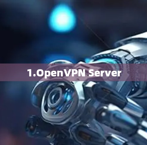 1.OpenVPN Server