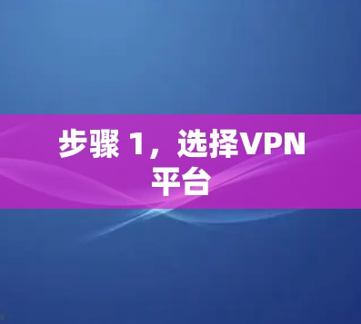 步骤 1,选择VPN平台 步骤 1,选择VPN平台