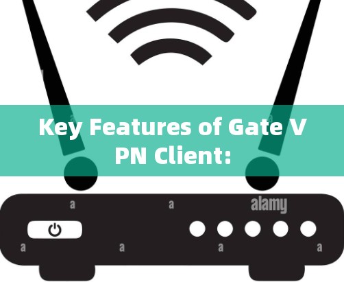 Key Features of Gate VPN Client: