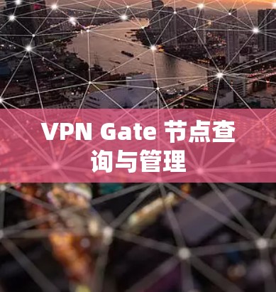 VPN Gate 节点查询与管理