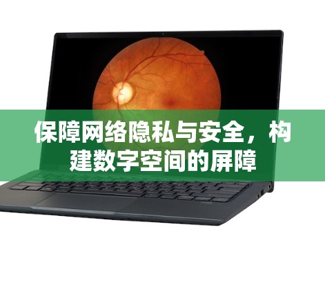 保障网络隐私与安全，构建数字空间的屏障