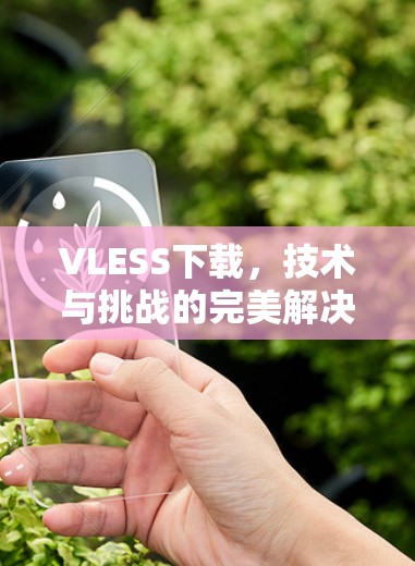 VLESS下载，技术与挑战的完美解决方案