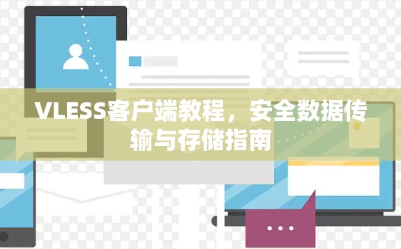 VLESS客户端教程，安全数据传输与存储指南