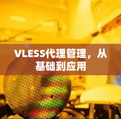 VLESS代理管理，从基础到应用