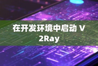 在开发环境中启动 V2Ray