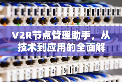 V2R节点管理助手，从技术到应用的全面解决方案