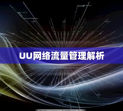 UU网络流量管理解析