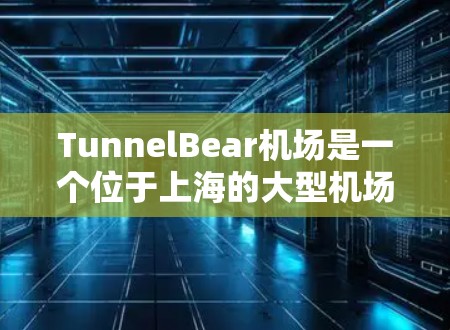 TunnelBear机场是一个位于上海的大型机场，它提供了多个服务器和数据中心，适合处理大量的数据和服务。以下是一些推荐的服务器类型和配置，供您参考