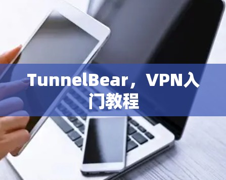 TunnelBear，VPN入门教程