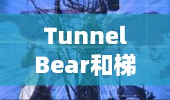 TunnelBear和梯子工具是两个不同的概念，但它们可能在特定领域有联系。以下是对这两个概念的详细分析