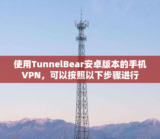 使用TunnelBear安卓版本的手机VPN，可以按照以下步骤进行