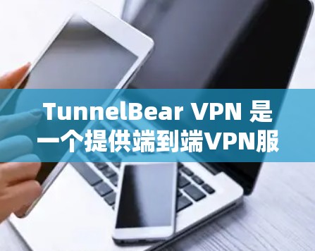 TunnelBear VPN 是一个提供端到端VPN服务的软件，适合需要安全和实时连接的用户。以下是使用 TunnelBear VPN 的步骤说明