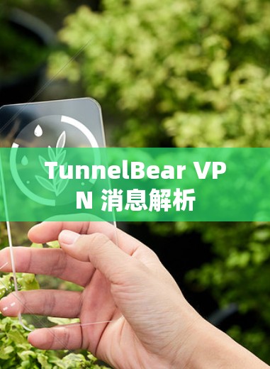 TunnelBear VPN 消息解析