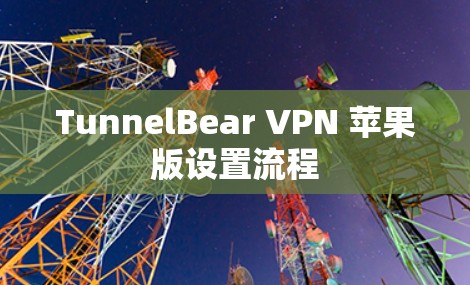 TunnelBear VPN 苹果版设置流程