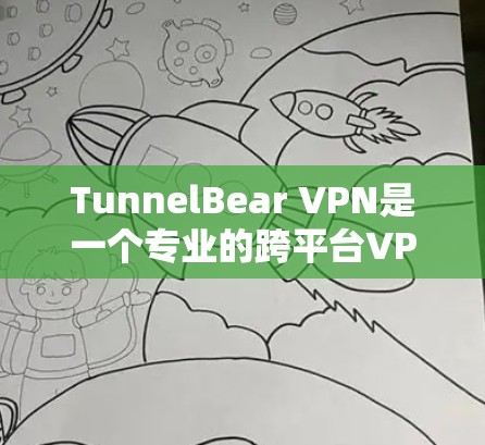 TunnelBear VPN是一个专业的跨平台VPN工具，适合需要高安全性和多设备连接的用户。以下是对其的主要评价