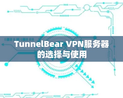 TunnelBear VPN服务器的选择与使用 TunnelBear VPN服务器的选择与使用