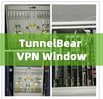 TunnelBear VPN Windows配置方法