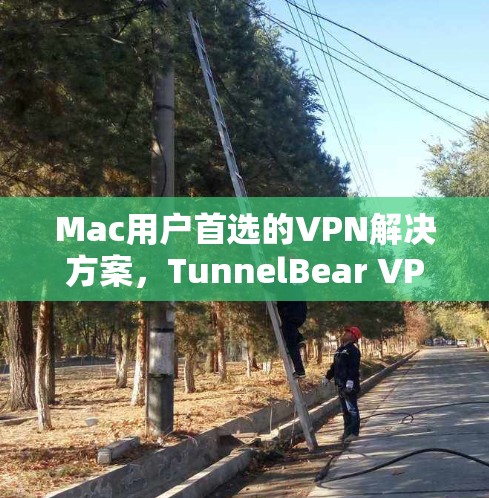 Mac用户首选的VPN解决方案,TunnelBear VPN客户端 Mac用户首选的VPN解决方案,TunnelBear VPN客户端