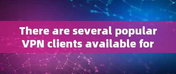 There are several popular VPN clients available for macOS,including: There are several popular VPN clients available for macOS,including: